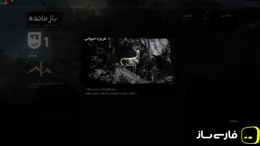 مهاجم مقبره