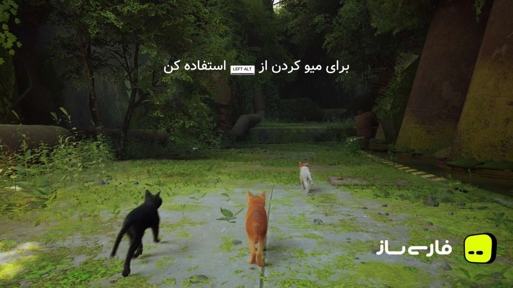 ولگرد